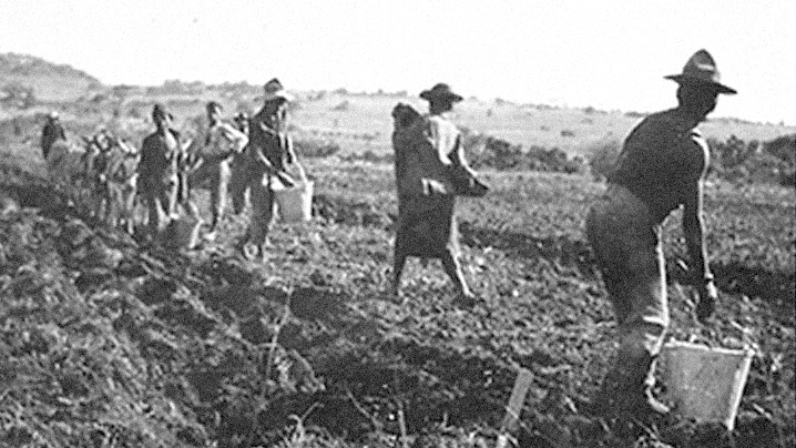 1922 Halls producteur avocat frais
