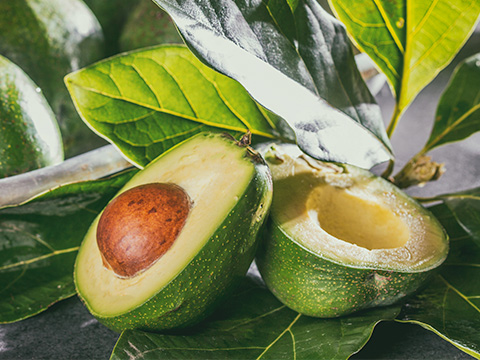 avocat mur à point - Halls