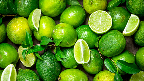 innovation Halls - Citrons verts and co