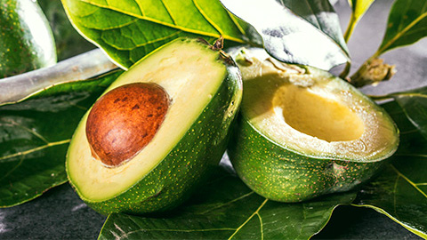 innovation Halls - avocats frais