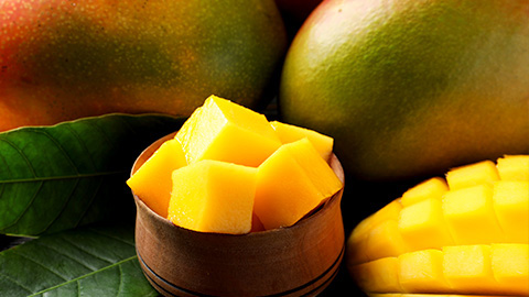 innovation Halls - mangue fraiche