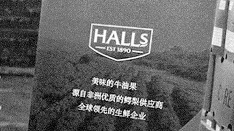 Halls s'implante en Chine - histoire halls international