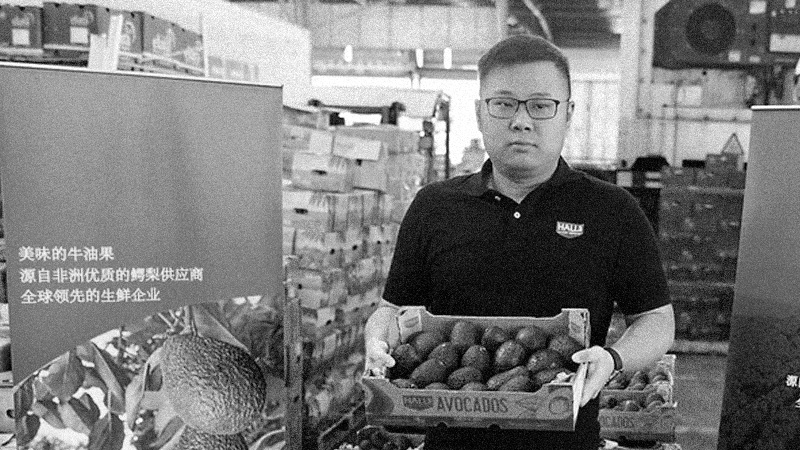 Histoire Halls - 1er avocat en Chine