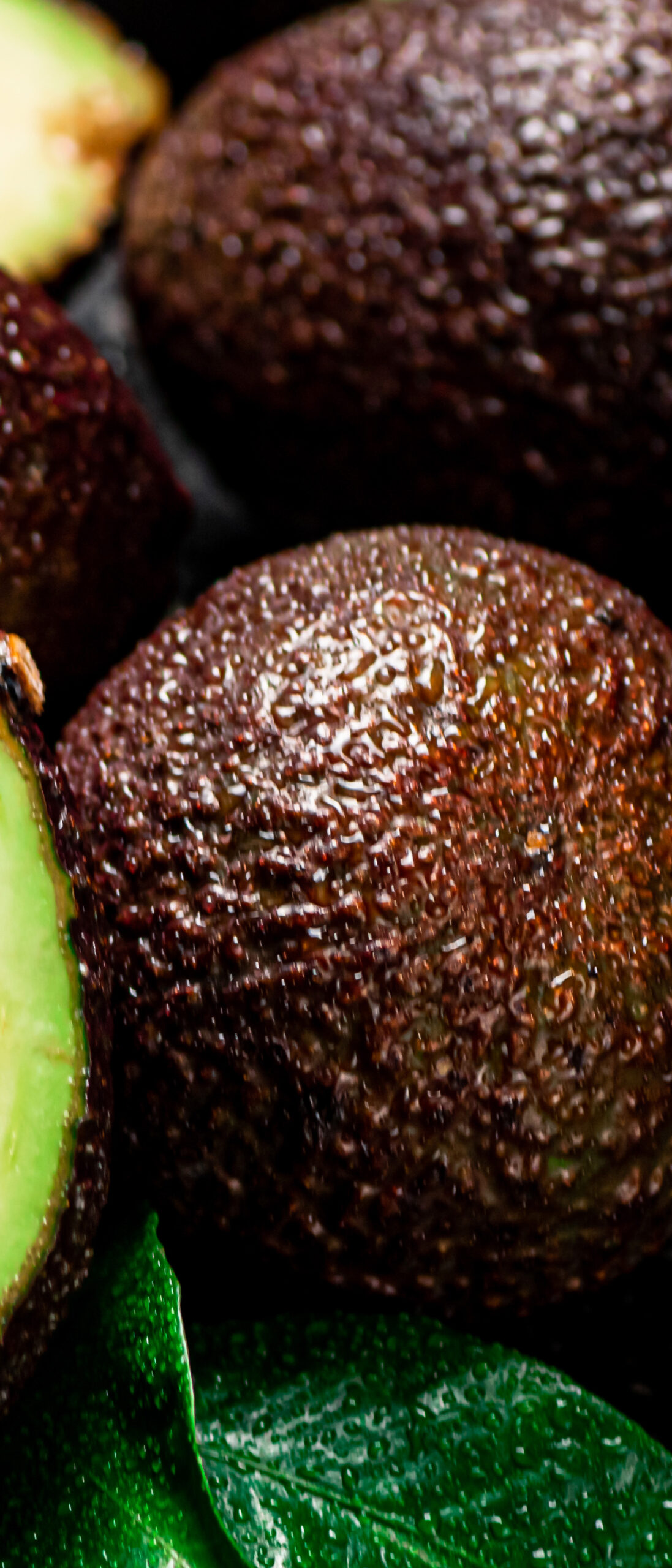 avocat frais 2:3 - HALLS