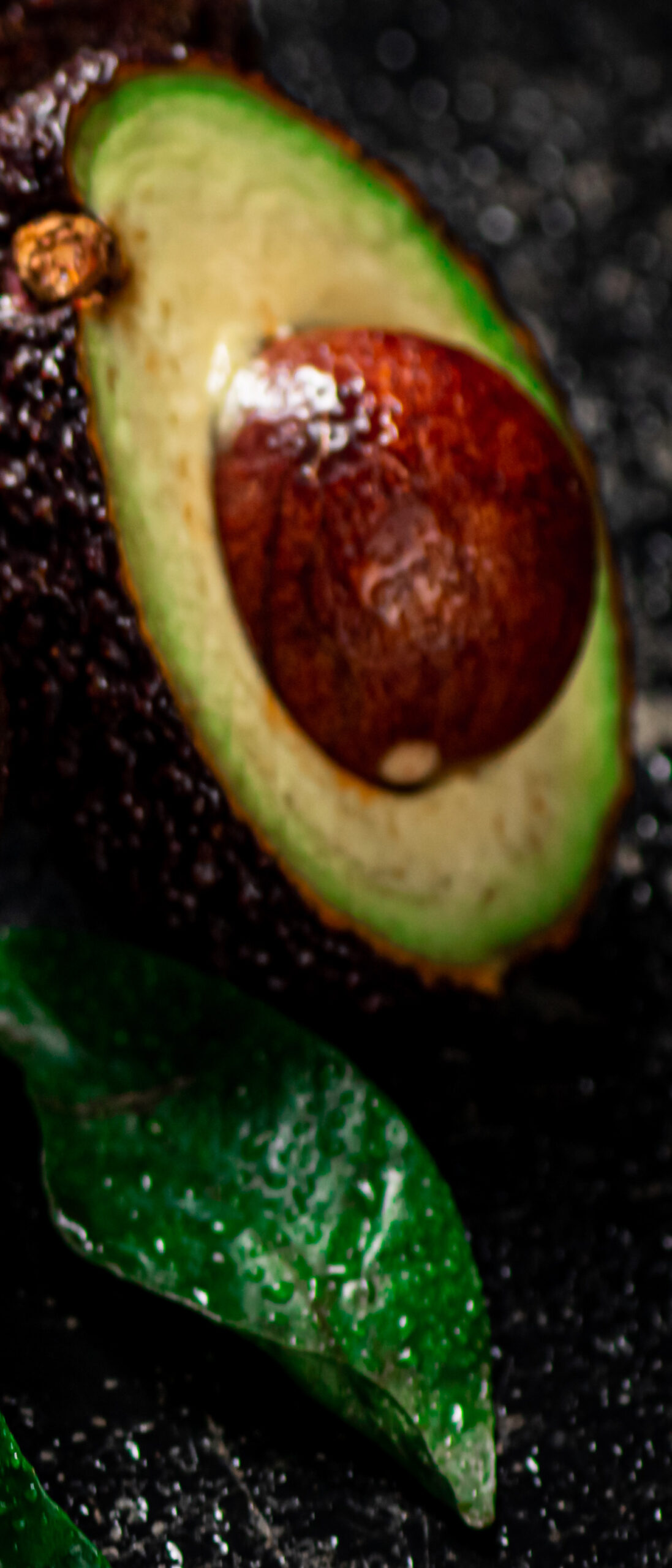 avocat frais 3:3 - HALLS