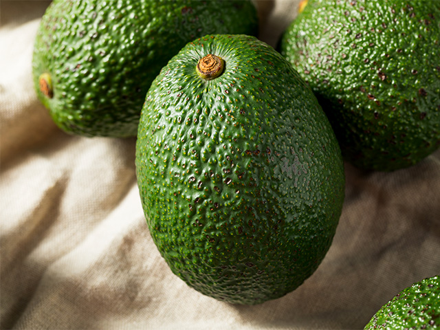 avocat frais - Halls Producteur avocat