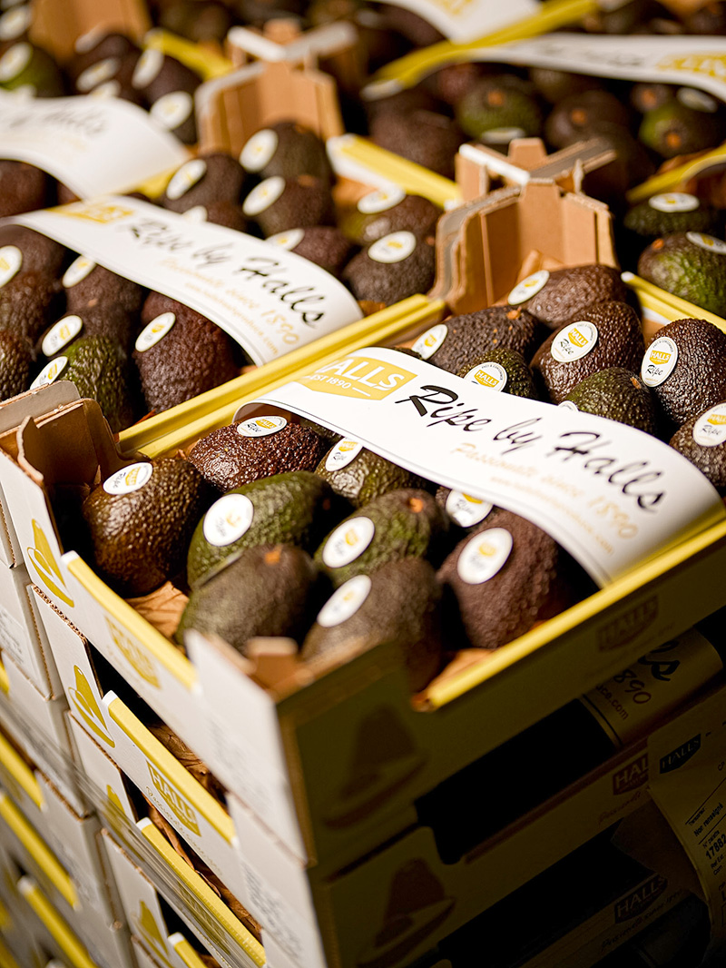 avocat mur à point - Ripe by Halls avocados