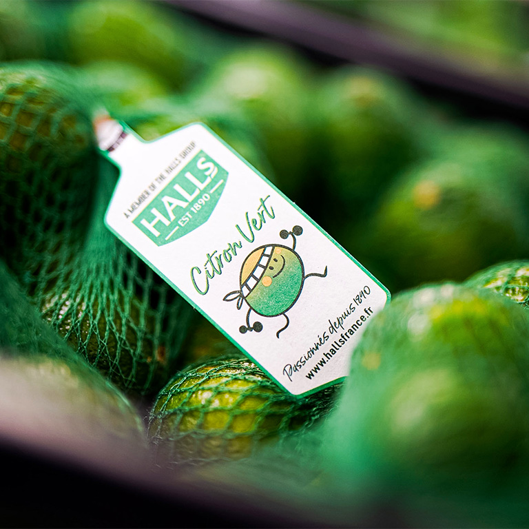 citrons verts - Halls spécialiste avocat mur à point