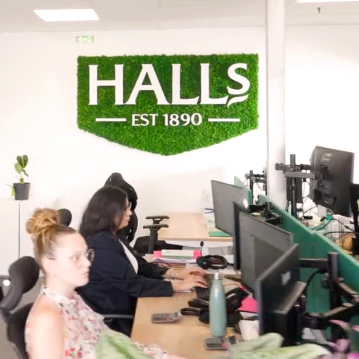 équipe halls - grossiste avocat rungis