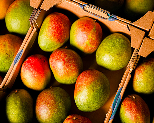 mangue fraiche - halls spécilaiste de la mangue et de l'avocat mur à point