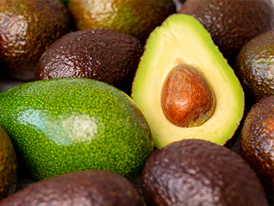 variété avocat frais - murisseur avocat frais Halls