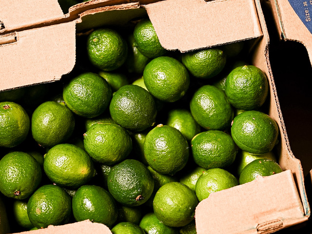 citrons vert Halls