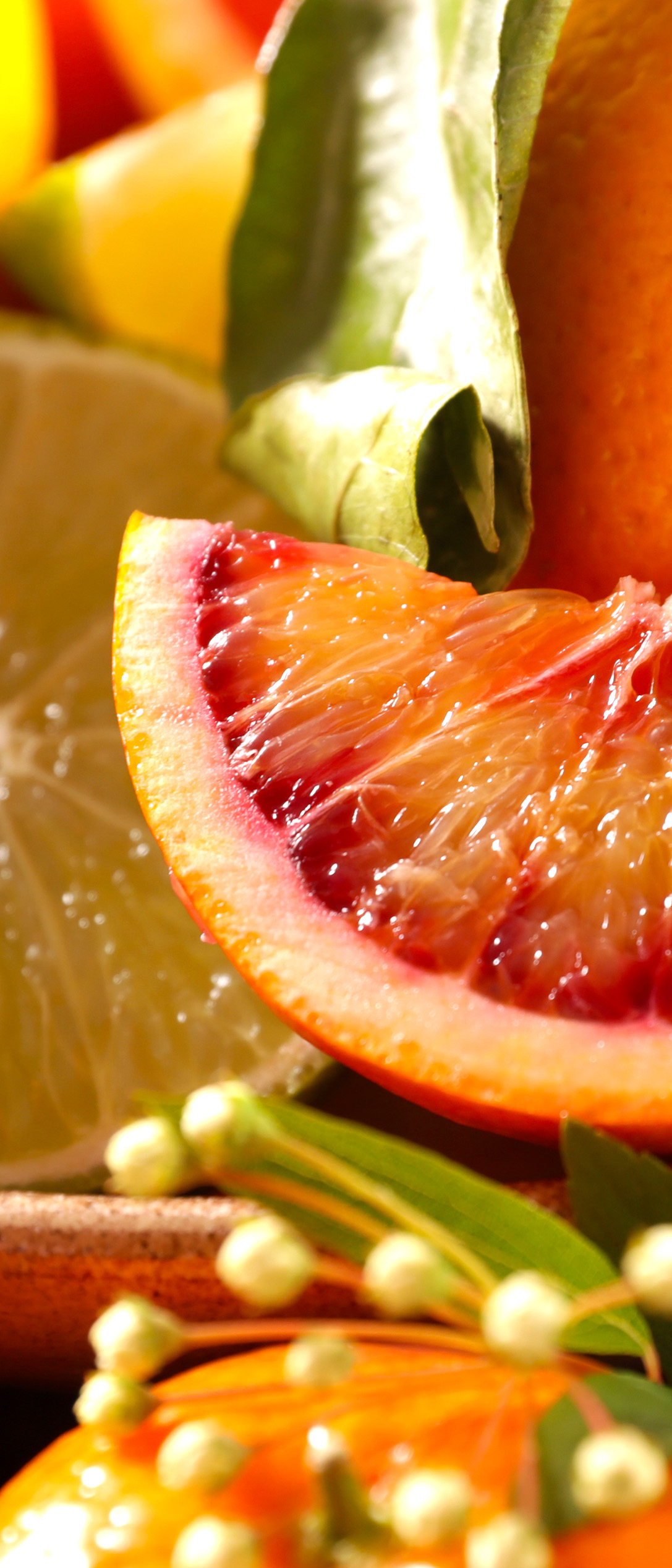 fruits frais halls - agrumes