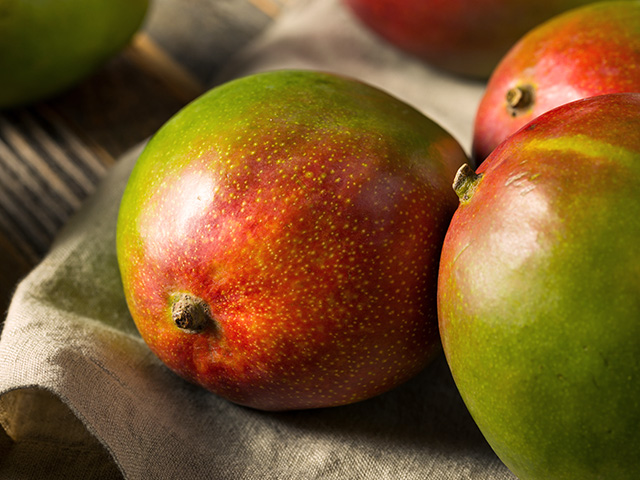 mangue fraiche - halls grossiste fruits exotique