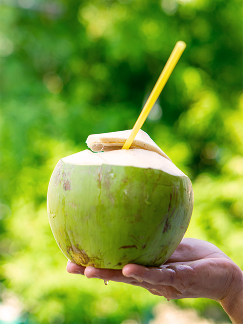 noix de coco à boire, inspiration boisson plage Halls