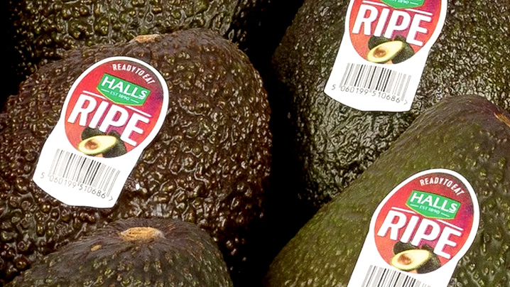 précurseur de l'avocat mur à point - Halls