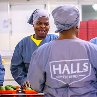 recrutement équipe Halls France